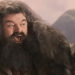 Hagrid Cheering