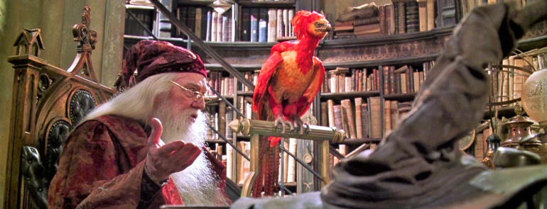 Dumbledore and Fawkes look ahead, inquiringly