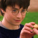 Harry holding the snitch for the first time