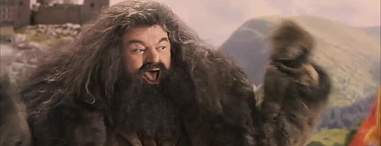 Hagrid Cheering